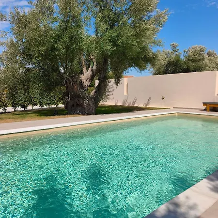 Rizomata Luxury Villa *