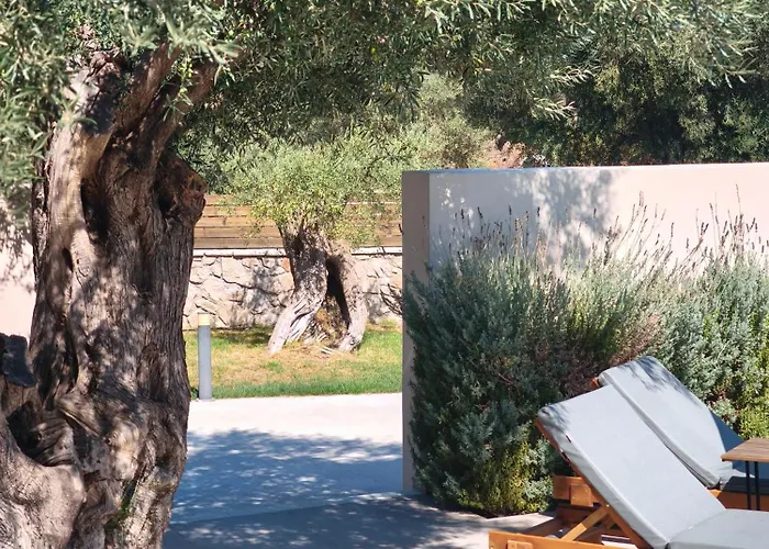 Villa Rizomata Luxury *